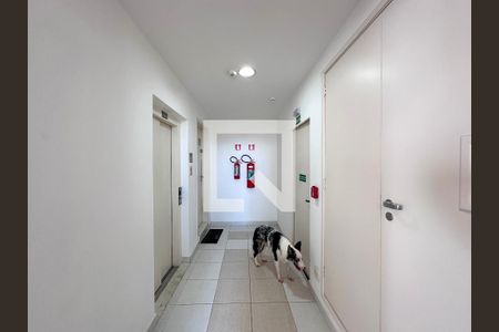 Apartamento à venda com 96m², 2 quartos e 2 vagasHall Apartamento