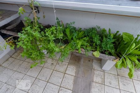 Casa para alugar com 100m², 2 quartos e 1 vaga Casa para alugar com 100m², 2 quartos e 1 vagaChurrasqueira