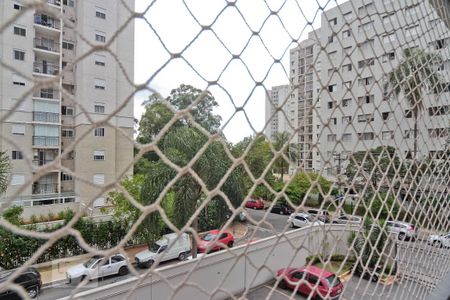 Vista de apartamento para alugar com 3 quartos, 65m² em Jardim Iris, São Paulo