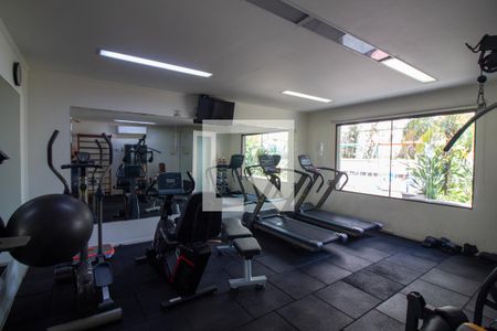 Apartamento para alugar com 62m², 2 quartos e 1 vaga Apartamento para alugar com 62m², 2 quartos e 1 vagaÁrea comum - Academia
