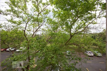 Vista da janela da sala de apartamento para alugar com 2 quartos, 47m² em Distrito de Bonfim Paulista, Ribeirão Preto
