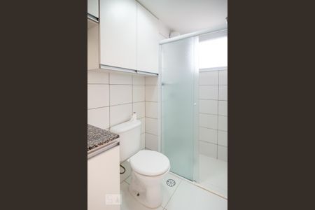 Banheiro Social de apartamento para alugar com 2 quartos, 48m² em Jardim Iracema, São Paulo