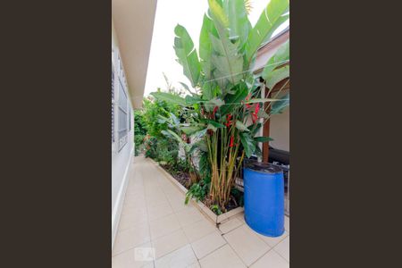 Casa à venda com 459m², 3 quartos e 5 vagas Casa à venda com 459m², 3 quartos e 5 vagasJardim