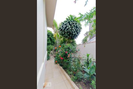 Casa à venda com 459m², 3 quartos e 5 vagas Casa à venda com 459m², 3 quartos e 5 vagasJardim