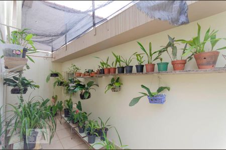 Casa à venda com 459m², 3 quartos e 5 vagas Casa à venda com 459m², 3 quartos e 5 vagasJardim