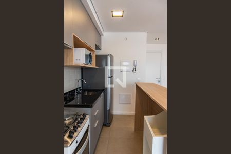 Cozinha de apartamento para alugar com 1 quarto, 50m² em Vila Mariana, São Paulo