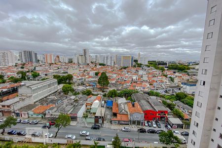 Vista da Varanda de apartamento para alugar com 2 quartos, 52m² em Vila Moreira, São Paulo