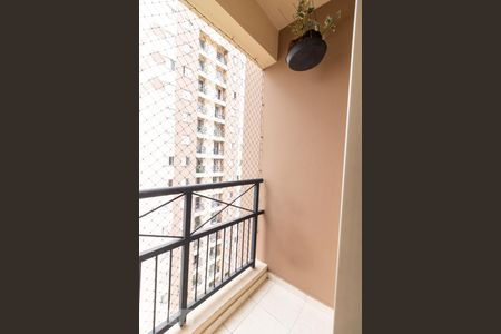 Varanda da Sala de apartamento à venda com 3 quartos, 62m² em Jardim Cambui, Santo André