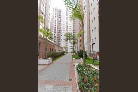 Apartamento à venda com 87m², 3 quartos e 2 vagas Apartamento à venda com 87m², 3 quartos e 2 vagasÁrea comum