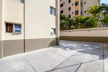 Área comum de apartamento para alugar com 2 quartos, 60m² em Saúde, São Paulo