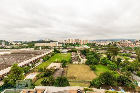 Vista da Varanda de apartamento à venda com 2 quartos, 60m² em Vila Anastácio, São Paulo
