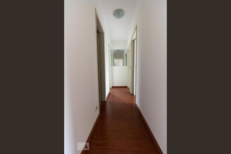 Corredor Quartos de apartamento à venda com 3 quartos, 76m² em Jardim Bonfiglioli, São Paulo