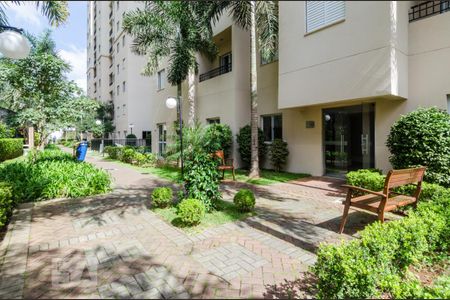 Área comum de apartamento para alugar com 2 quartos, 53m² em Nova Petrópolis, São Bernardo do Campo