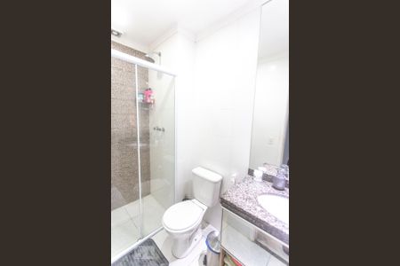 Banheiro de apartamento para alugar com 2 quartos, 53m² em Nova Petrópolis, São Bernardo do Campo