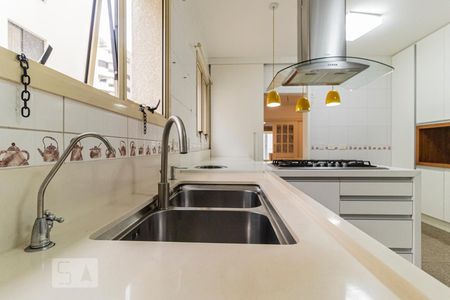 Apartamento à venda com 370m², 3 quartos e sem vagaCozinha - Pia