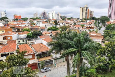 Apartamento para alugar com 530m², 4 quartos e 1 vaga Apartamento para alugar com 530m², 4 quartos e 1 vagaVista Suíte Principal