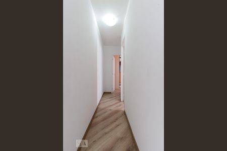 Corredor Quartos de apartamento para alugar com 2 quartos, 50m² em Vila Guilherme, São Paulo