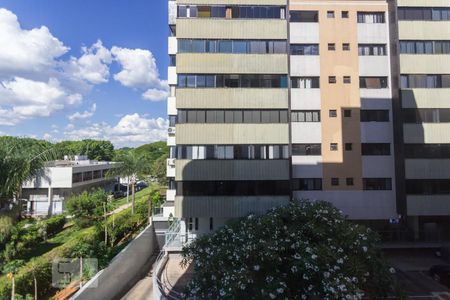 Vista Quarto 1 de apartamento para alugar com 3 quartos, 165m² em Asa Norte, Brasília
