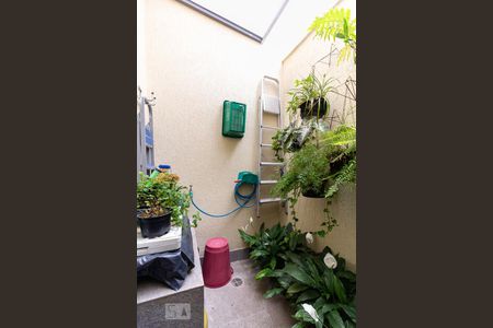 Jardim de casa de condomínio à venda com 3 quartos, 174m² em Vila Nair, São Paulo