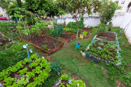 Casa para alugar com 154m², 3 quartos e 3 vagas Casa para alugar com 154m², 3 quartos e 3 vagasÁrea comum - horta