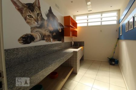 Apartamento para alugar com 62m², 2 quartos e 1 vaga Apartamento para alugar com 62m², 2 quartos e 1 vagaPet care