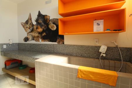 Apartamento para alugar com 62m², 2 quartos e 1 vaga Apartamento para alugar com 62m², 2 quartos e 1 vagaPet care