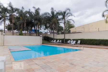 Área comum - Piscina de apartamento para alugar com 2 quartos, 50m² em Parque Paineiras, São Paulo