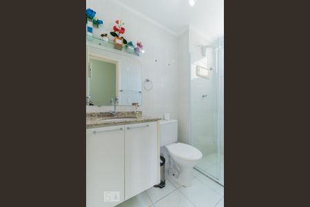 Banheiro de apartamento para alugar com 2 quartos, 50m² em Parque Paineiras, São Paulo
