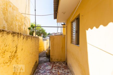 Casa para alugar com 35m², 1 quarto e sem vaga Casa para alugar com 35m², 1 quarto e sem vagaQuintal