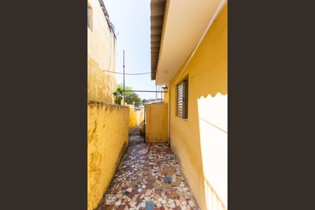 Casa para alugar com 35m², 1 quarto e sem vaga Casa para alugar com 35m², 1 quarto e sem vagaQuintal