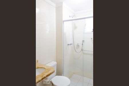 Banheiro da Suíte de apartamento para alugar com 3 quartos, 67m² em Vila Alzira, Santo André