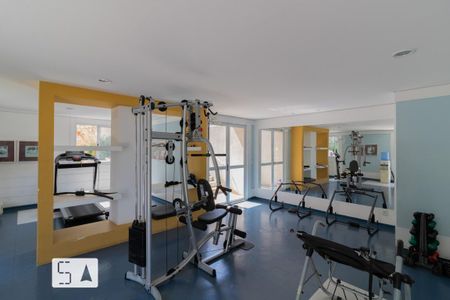 Área comum - Academia de apartamento para alugar com 3 quartos, 67m² em Vila Alzira, Santo André