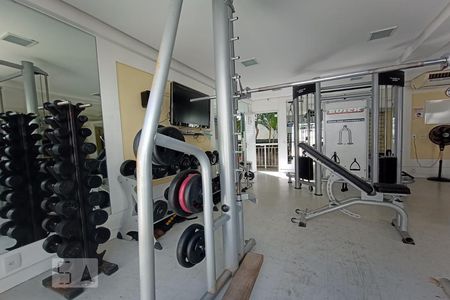 Apartamento à venda com 128m², 4 quartos e 2 vagas Apartamento à venda com 128m², 4 quartos e 2 vagasAcademia