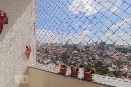 Varanda da Sala de apartamento para alugar com 2 quartos, 56m² em Gopoúva, Guarulhos