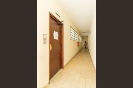Apartamento para alugar com 56m², 2 quartos e sem vagaHall do Elevador