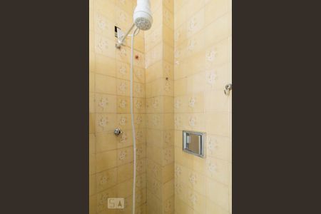 Apartamento para alugar com 56m², 2 quartos e sem vagaDetalhe do Banheiro