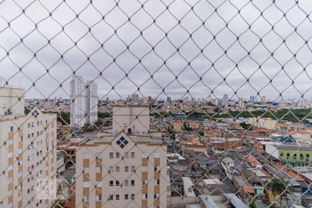 Vista da Sala de apartamento à venda com 2 quartos, 51m² em Vila Pierina, São Paulo