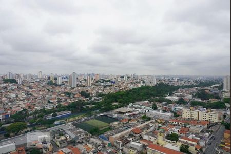 Vista do Quarto 1 de apartamento à venda com 2 quartos, 37m² em Vila Pierina, São Paulo