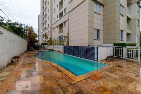 Área comum - Piscina Adulto de apartamento à venda com 2 quartos, 50m² em Limão, São Paulo