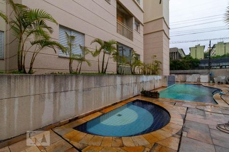 Área comum - Piscina Infantil de apartamento à venda com 2 quartos, 50m² em Limão, São Paulo