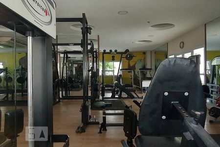 Apartamento à venda com 97m², 3 quartos e 1 vagaÁrea comum - Academia