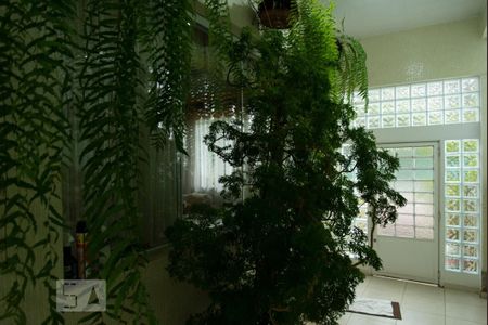 Casa à venda com 365m², 4 quartos e 4 vagasÁrea Externa