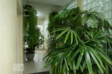 Casa à venda com 365m², 4 quartos e 4 vagasÁrea Externa