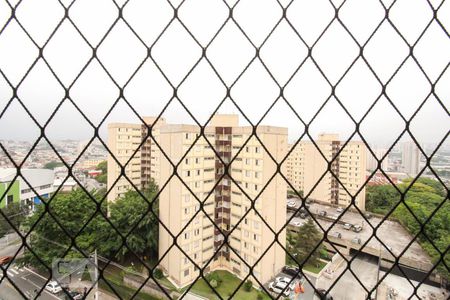 Vista Varanda da Sala de apartamento para alugar com 3 quartos, 74m² em Vila Siqueira (zona Norte), São Paulo