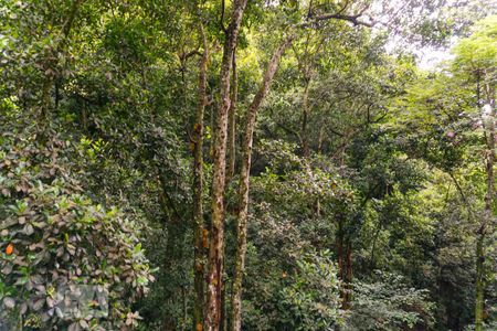 Casa à venda com 400m², 5 quartos e 4 vagasÁrea Externa