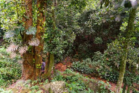 Casa à venda com 400m², 5 quartos e 4 vagasÁrea Externa