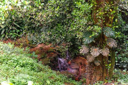 Casa à venda com 400m², 5 quartos e 4 vagasÁrea Externa/Cachoeira