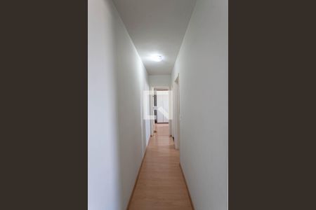 Corredor de apartamento para alugar com 2 quartos, 52m² em São João Batista , Belo Horizonte