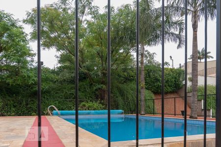 Área comum - Piscina de apartamento para alugar com 3 quartos, 60m² em Parque Itália, Campinas
