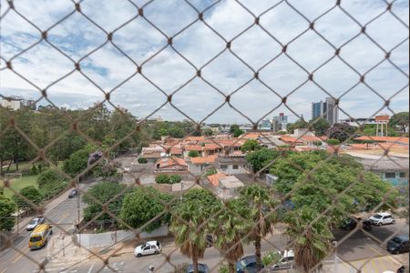 Vista do Quarto 1 de apartamento para alugar com 3 quartos, 60m² em Parque Itália, Campinas